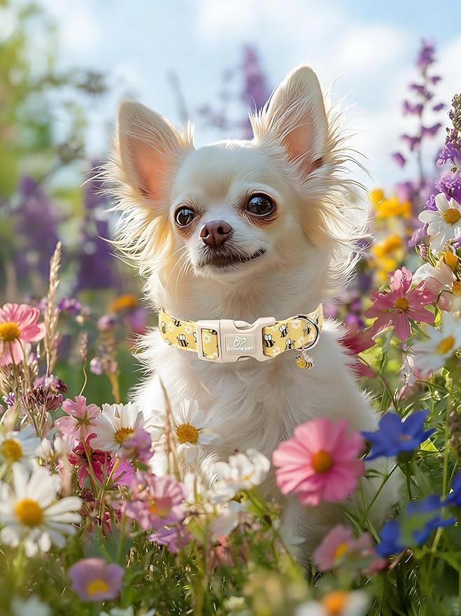 Bee & Daisy Dog Collar for Medium Dogs - Spring/Summer Cartoon Yellow Dog Collars, Lightweight Adjustable Male Female Dogs Collars with Quick Release Buckle M