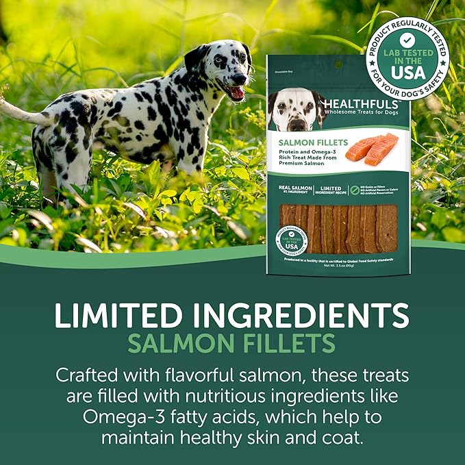 HEALTHFULS Salmon Fillet Dog Treats, 3.5oz (Pack of 2)