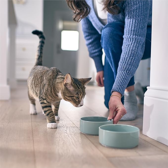 Petivity Microbiome Analysis Kit — Advanced for Cats and Dogs, Powered by Purina - 4.8 oz. Box
