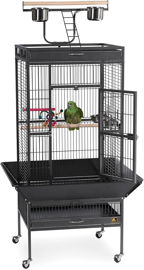 Prevue Hendryx 3152BLK Pet Products Wrought Iron Select Bird Cage, Black Hammertone,24'' x 20'' x 60''