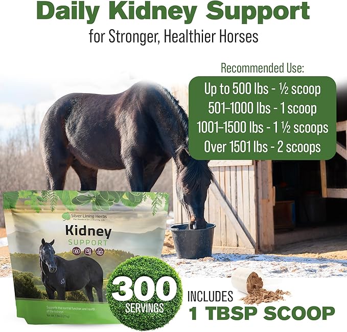 Silver Lining Herbs Kidney Support Supplement for Horses - Horse Supplements for Kidney Health and Bladder Support - Complete with Chamomile, Garlic, Juniper Berry, and More - 5 lb (300 Servings)