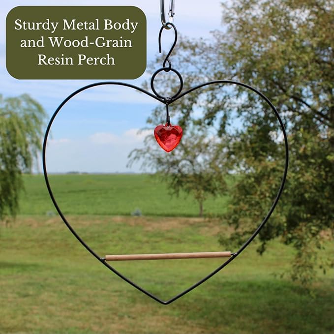 Songbird Essentials Hummingbird Swing - Tweet Heart Birdie Swing - Black Metal Hummingbird Perch