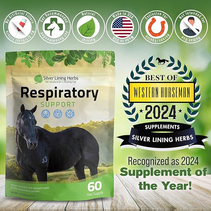 Silver Lining Herbs Respiratory Support Supplement for Horses - Horse Supplements for Lung Cleanse & Respiratory Health - Great for Lung Function, Breathing & Clear Airways - 1 lb 60-Day Supply