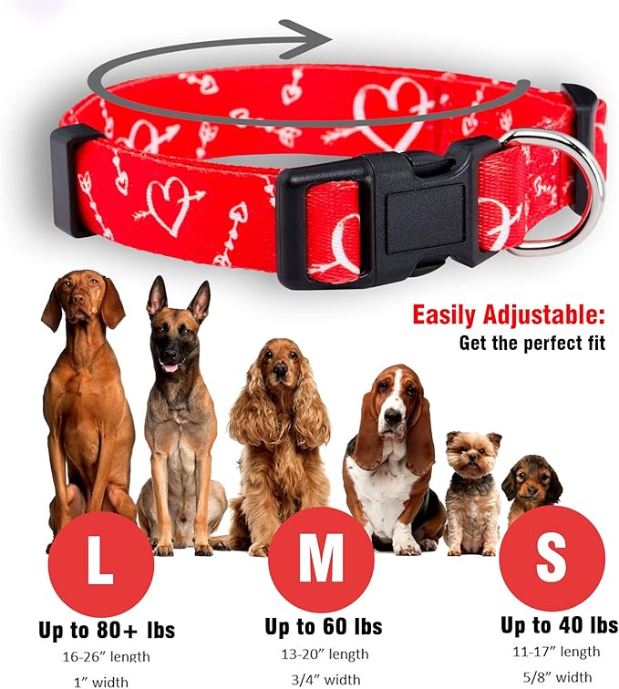 Native Pup Valentine’s Dog Collar- Valentines Day Pet Collars- Valentine Girly Hearts- Pink Red Heart- Cute Boy Girl Puppy Gift- Adjustable for Small, Medium, Large Breeds (Cupid's Arrows, Small)