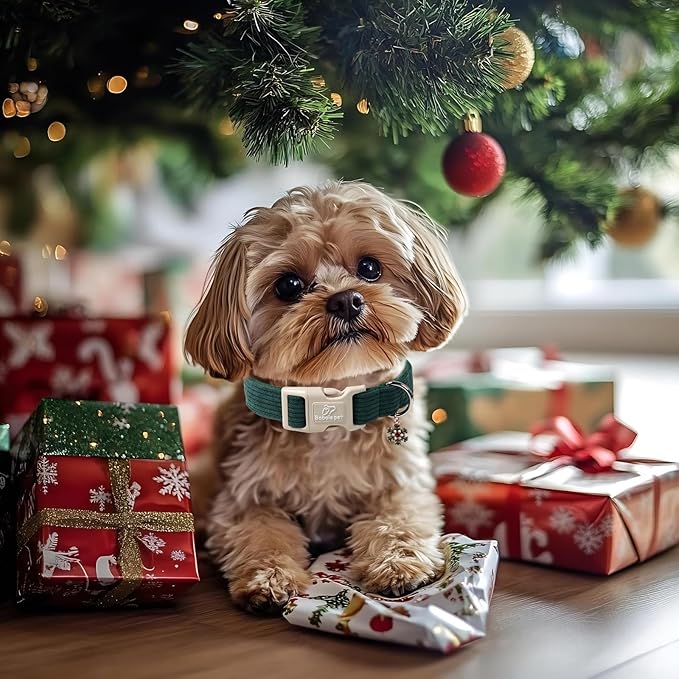 Cute Corduroy Dog Collar - Forest Green Adjustable Dog Collars for Medium Dogs 25-50lbs, Fade-Proof with Secure Snap & Little Charm, Christmas Birthday Gift, M