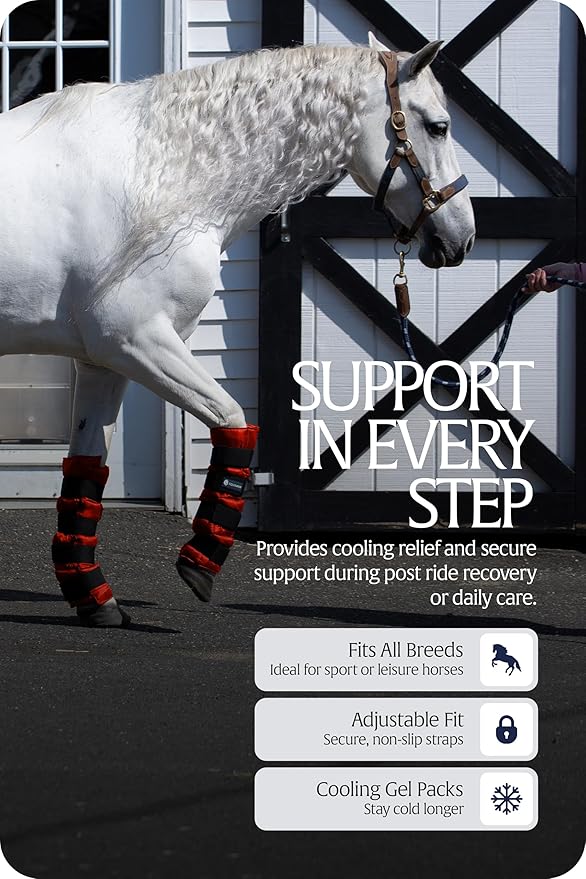 Equinavia Cool Relief Therapy Ice Boots Leg Wraps for Horses, Gel Pack with Adjustable Straps | 16.5" x 15.5" Single - Red - Single - One Size