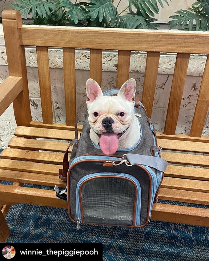 Mr. Peanut's Gold Series Big Apple XL Size Airline Compliant Expandable Pet Carrier V3.0 (Platinum Gray)
