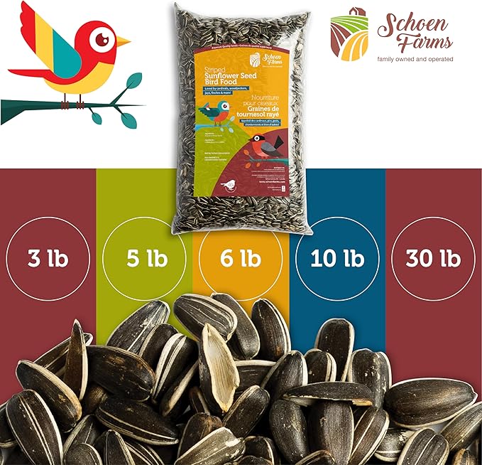 Schoen Farms Striped Sunflower Seeds – Hulled Wild Bird Food – 6 lb Bag – Premium Bird Seed for Cardinals, Jays & Finches