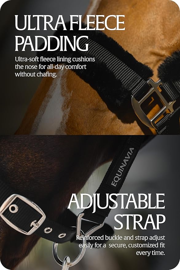 Equinavia Valkyrie Ultra Fleece Breakaway Horse Halter | Padded Fleece Adjustable Safety Halter with Nylon Webbing - Black/Black - Cob