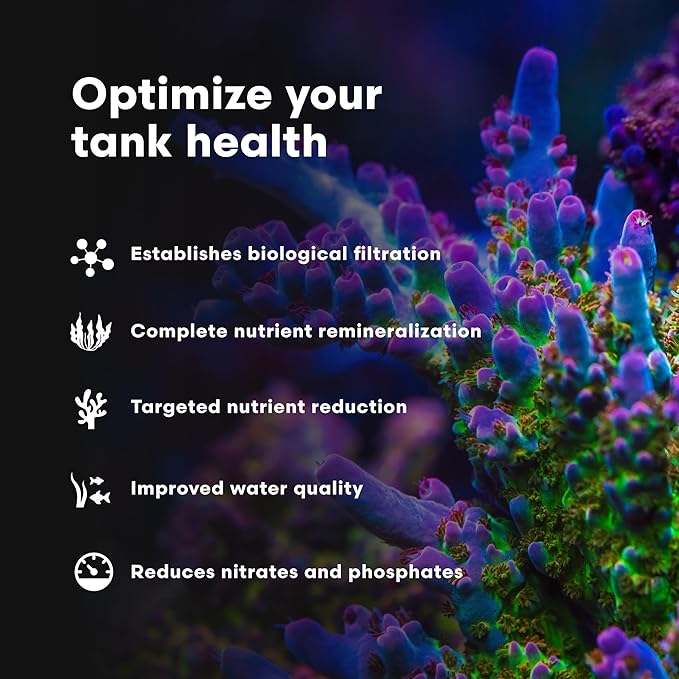 Brightwell Aquatics MicroBacter7 Complete Bioculture for Fish Tank or Aquarium - Populates Biological Filter Media for Saltwater and Freshwater Fish - Aquarium Water Treatments, 16.9 fl oz