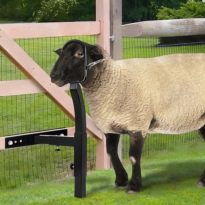 Livestock Stand 9.8 inch Height Adjustable, Goat Stand 5.9 inch Length Adjustable，Metal Livestock Stand Attachment Nose Loop Headpiece, Trimming Stand for Goat & Sheep.