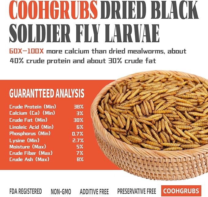 Dried Black Soldier Fly Larvae for Chickens, High-Calcium 85X More Than Mealworms Bird Treats, 10-lb Box