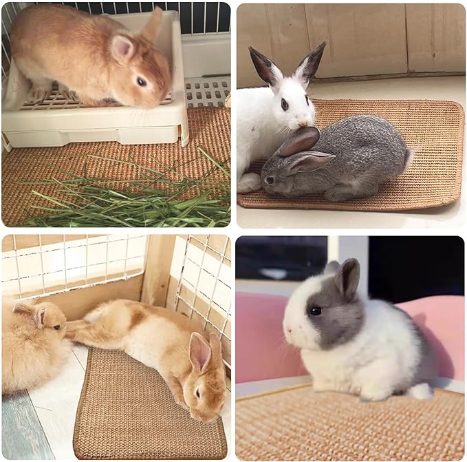 Rabbit Scratching Pad, 16 x 12 Inch Natural Sisal Bunny Scratch Mat Scratcher Mats Claws and Teeth Care for Biting Sleeping Nesting Small Animal Bedding Chew Toys Bed Play Toy (Brown, 2Pcs)