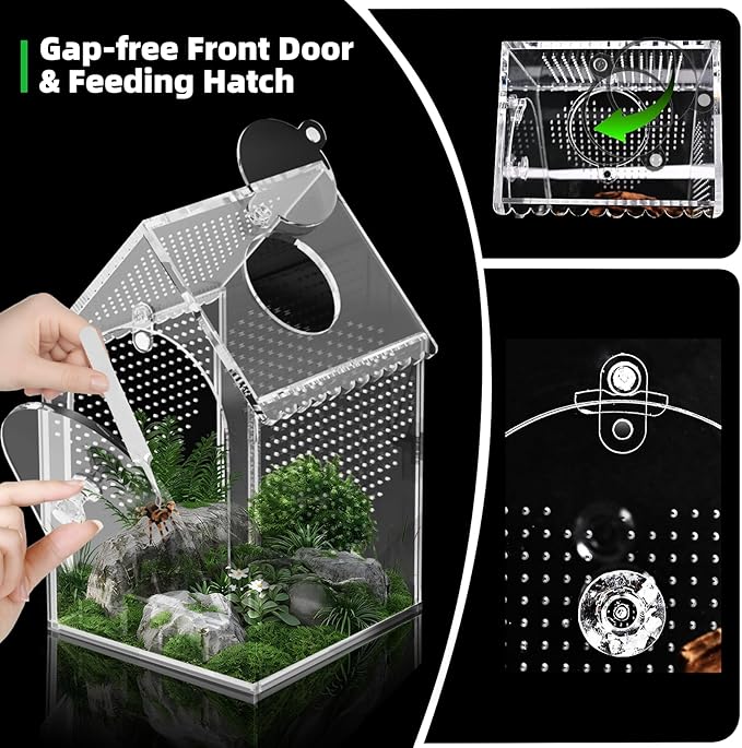 Cycodo Jumping Spider Enclosure,Warp-Proof Seamless Acrylic Tarantula Terrarium,Front Opening Bug Habitat with Feeding Port for Praying Mantis,Hermit Crabs,Snail,Micro Reptile(5" L*5" W*8" H)