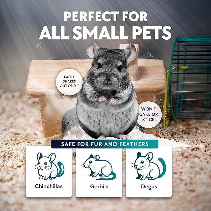 6 LB. Chinchilla Dust Bath Jar - Pure Cleansing Pumice Sand Dust for Cleaning Small Pets Like Gerbils, Mice, Degu - Premium, All Natural Dusting Powder - Chinchilla Accessories by Billy Buckskin