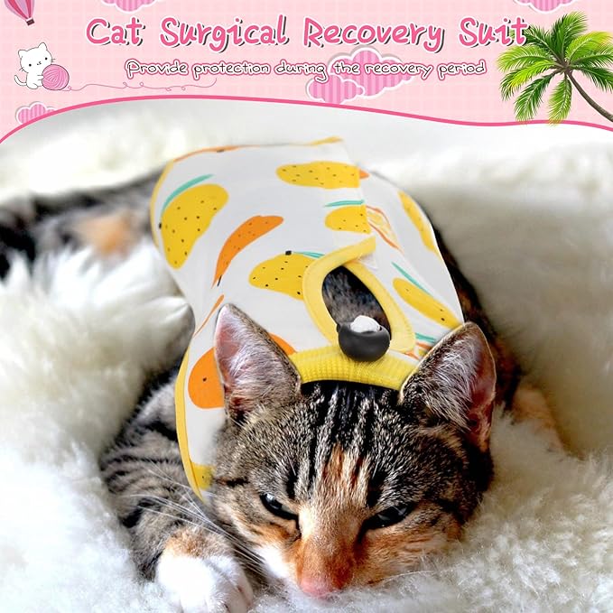 Nuanchu 3 Pieces Cat Recovery Suit Kitten Recovery Suit E-Collar Alternative for Cats and Dogs Abdominal Skin Anti Licking Pajama Clothes Sets(Fruit Pattern,Small)