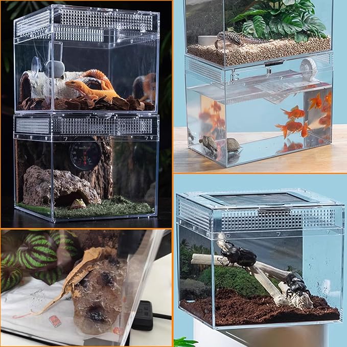 Reptile Terrarium, Jumping Spider Enclosure Starter Kit, Leopard Gecko Habitat Container, 8"x8"x7"Reptile Tank for Tarantula, Hermit Crab, Insect, Fish, Frog, Small Bearded Dragon, Lizard