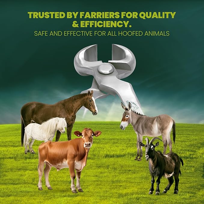 Equine Care Spring-Loaded Hoof Nippers – Chrome Vanadium Steel Farrier Tools | 10″ & 12″ Hoof Trimmers with Ergonomic Grip for Foals, Ponies, Miniature Horses, Donkeys, Goats & Livestock (12 inch)