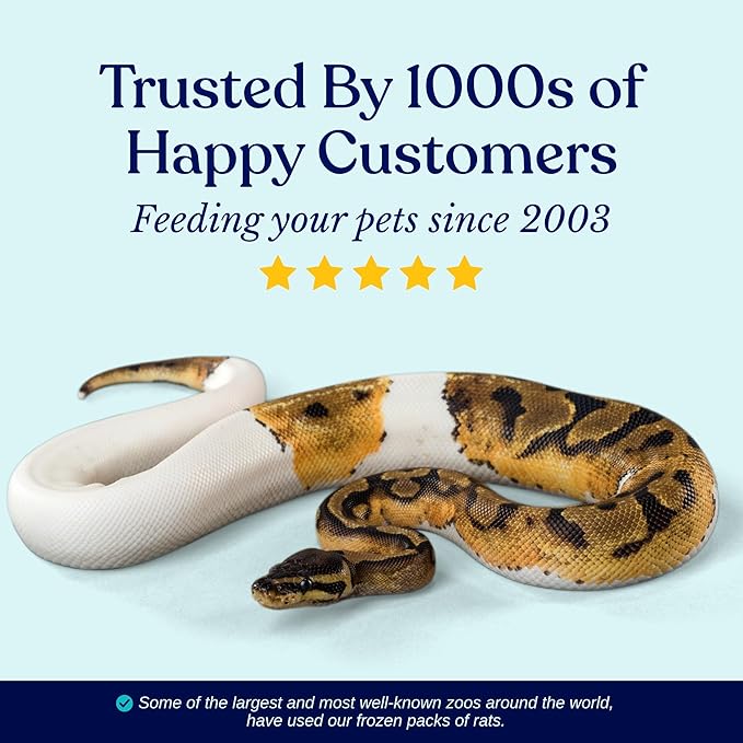 MiceDirect 125 Premium Frozen Mice Fuzzies Snake Food Feeders for Baby Ball Pythons Red Tail Boas Sub Adult Milks (Pack of 125)(1.5-2 in)(500 Grams Min)