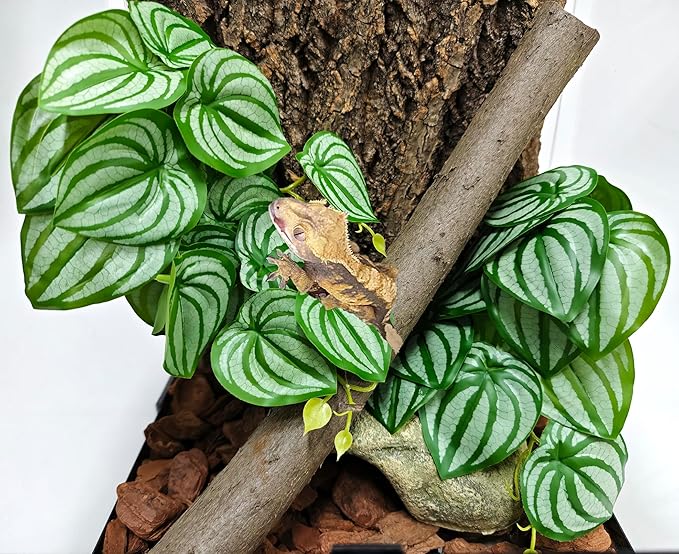 Woyrise Reptile Plants, Terrarium Hanging Plant Vines, Artificial Leaves with Suction Cup, Bearded Dragon Tank Accessories for Gecko Lizard Snake Frog Tortoise Decorations - Calathea Orbifolia