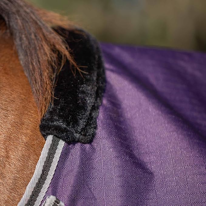 Equinavia Norse Lightweight 100g Fill Horse Rain Blanket | Waterproof Turnout Sheet - Black - 66 in - Grape Purple - 69 in