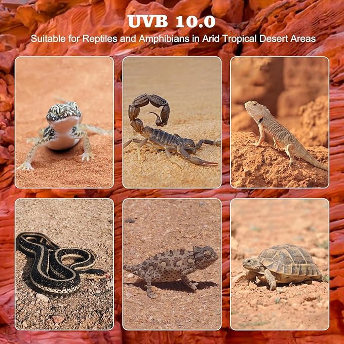 DXOPHIEX 10.0 T5 UVB Reptile Light 2 Pack 24W Reptile Bulb,UVA UVB Light Bulb for Bearded Dragon,Chameleon,Tortoises, Lizards and Turtles