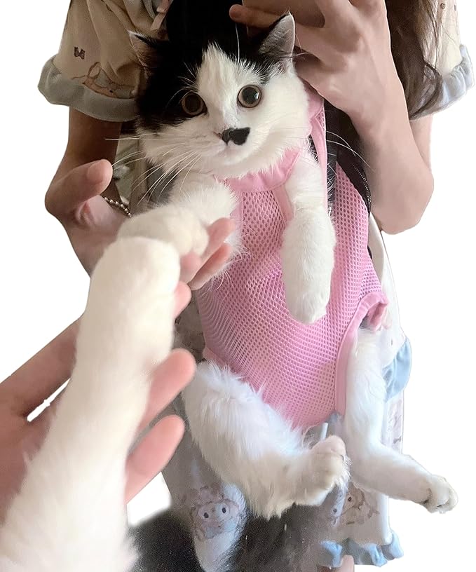 Pet Carrier Backpack - Adjustable Pet Front Cat Dog Carrier Backpack Travel Bag,Legs Out,Easy-Fit for Traveling Hiking Camping for Small Medium Dogs Cats Puppies. (Apricot, Small)
