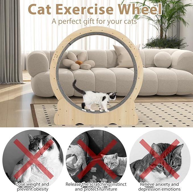 PETSITE 40 Inch Cat Exercise Wheel for Indoor Cats, Low Noise Cat Treadmill with Locking Mechanism, Carpeted Runway, and Teasing Toy