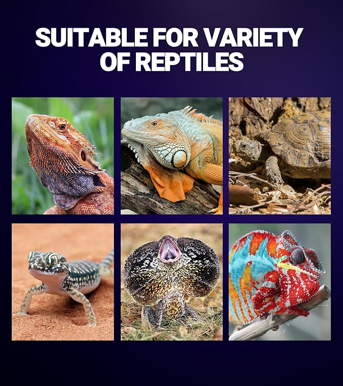 REPTI ZOO 2Pack Reptile Heat Lamp 100W Reptile Night Heat Bulb Night Heat Lamp Without UVA for Turtle Bearded Dragon Gecko Lizard and Snake E26/E27 Purple