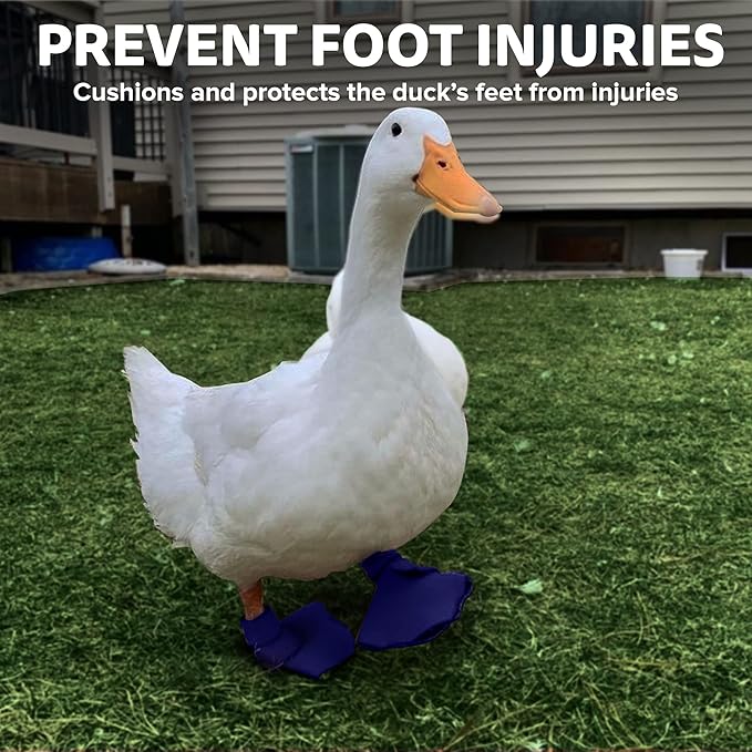 Duck Shoes for Injured Feet – Protective Neoprene Footwear for Ducks, Protective Shoes for Birds with Injured feet, Bumblefoot Relief - Small, 2.5’’ Max. Inside Width - Royal Blue