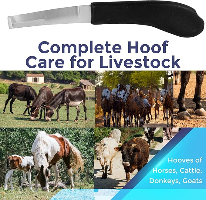 Regular Hoof Knife for Horses – Farrier Tool with Plastic Grip – Hoof Trimming Knife for Equine Care & Veterinary Use (Left Hand)