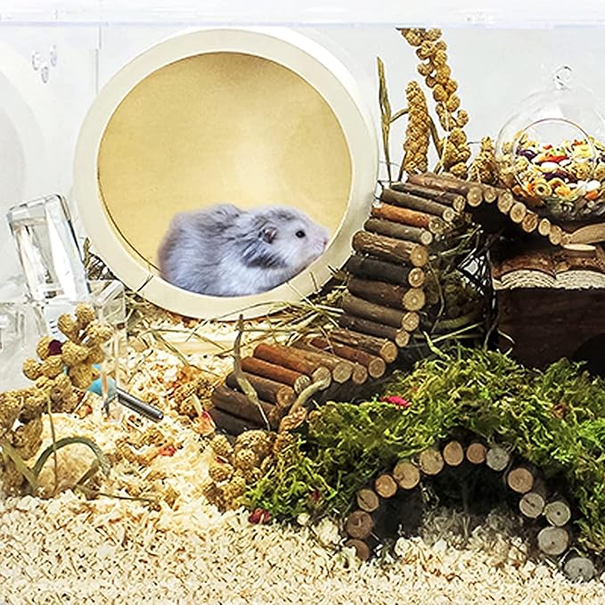 Allazone Hamster Wooden Running Wheel, Wooden Small Pets Exercise Wheel, Running Spinner Wheel Play Toy for Rat Gerbil Mice Chinchillas Hedgehogs Guinea Pigs, S