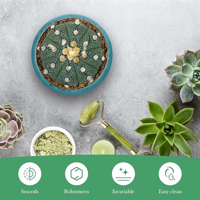 Garden Bowl Planter Lotus Flower Bowl Hydroponic Plant Succulent Ceramic Pots Glazed Cactus Flower Plant for Flowers Succulent Table Centerpiece