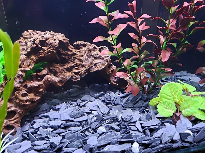 Small World Slate & Stone Aquarium Gravel 14 lbs - Natural Substrate for Aquascaping Planted, Freshwater and Saltwater Tanks - Grey - Gravel Size Approx. 1/4"-1/2" (14 lbs)