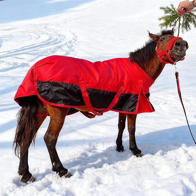 Mini Horse/Pony/Foal/Miniature1600 Denier Horse Turnout Blanket, Horse Care Sheet, Waterproof Breathable Horse Blanket (220g Fill)