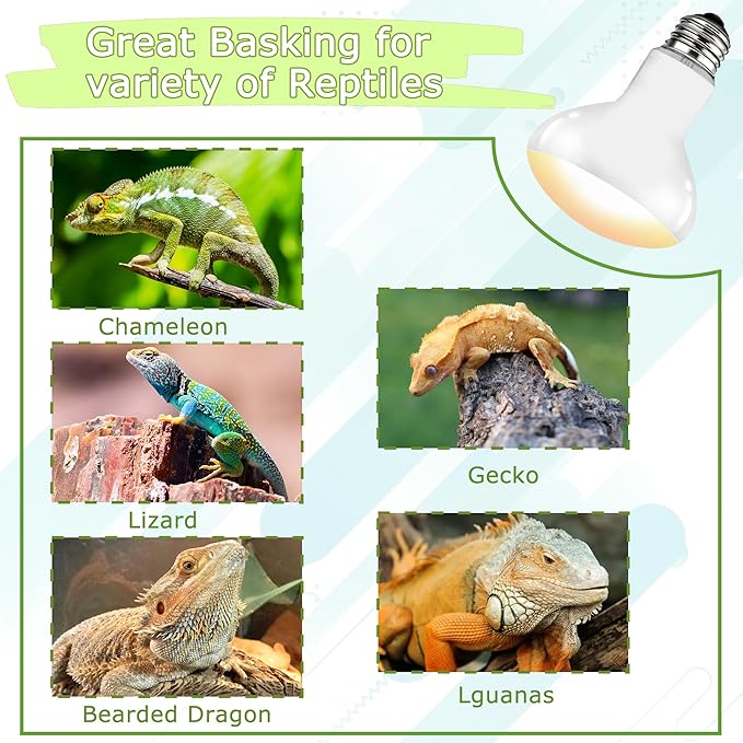 UVA Reptile Heat Lamp Bulb 60W - Basking Light for Bearded Dragons, Lizards, Tortoises, Chicks & Amphibians, Simulated Sunlight for Terrariums, Supports Bone Health & Metabolism | 2 Pack