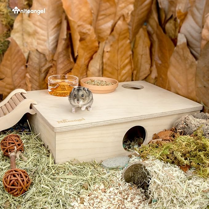 Niteangel Multi-Chamber Hamster House Maze: - Multi-Room Hideouts & Tunnel Exploring Toys for Hamster Gerbils Mice Lemmings (6-Room Small)