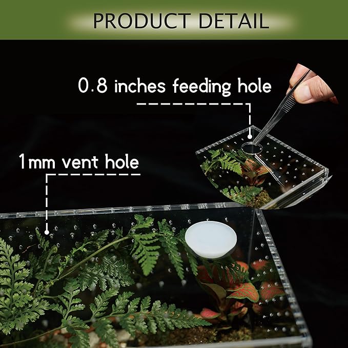 Acrylic Terrarium for Reptiles & Spiders – Small/Medium/Large Leak-Proof Enclosure (Horizontal/Vertical) | Ideal for Tarantulas, Jumping Spiders, Frogs & Geckos(Large Horizontal)
