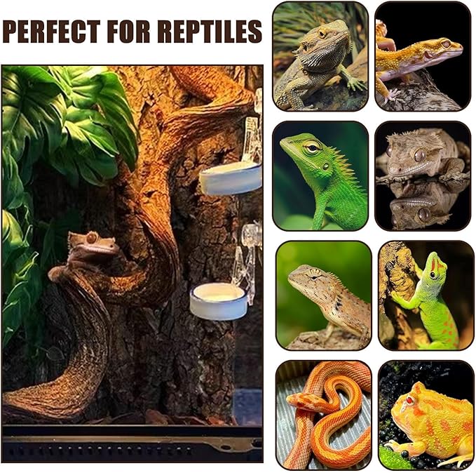 BNOSDM 3PCS Natural Reptile Climbing Branches Decor,1.8-2.2" Thick Natural Snake Climbing Forest Wood with Plant Leaf Decor,Lizard Forest Branch,Geckos Tank Tree Trunk Accessories for Bearded Dragons