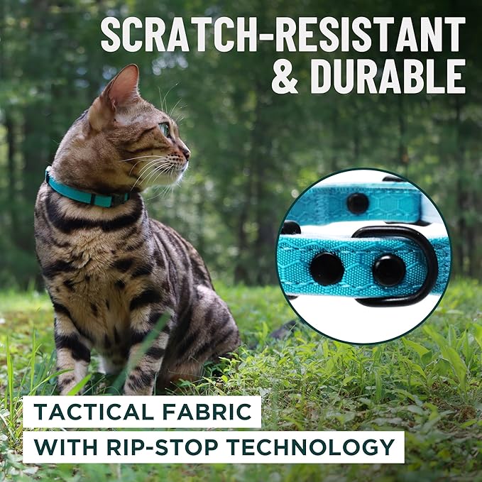 OutdoorBengal Orange Breakaway Kitten Collar - Ultra Safe Quick Release Cat Collar for Kittens Under 6 Months – Soft-Padded, Lightweight, Adjustable, Thin and Comfortable, No Bell (Orange, Kitten)