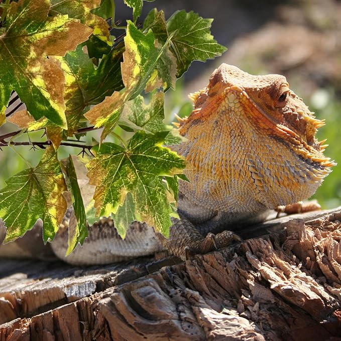 kathson Reptile Terrarium Plants Hanging Artificial Plants Lizards Habitat Decorations with Suction Cups Pets Tank Fake Green Plastic Silk Cloth Ornament for Amphibians Bearded Dragon(4PCS, Style A