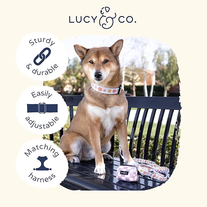 Lucy & Co. Ballet Bows Dog Collar - Durable Lightweight Designer Collar for Pets - Adjustable Metal Safety Buckle - White & Pink Bows - Medium