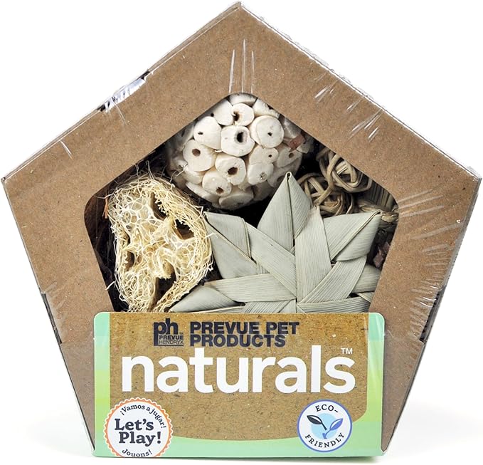 Prevue Pet Products Small Pentagon Forage n Play Box for Small Animals