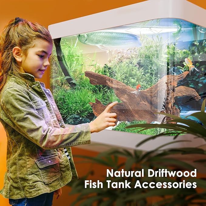 Jorewood Natural Aquarium Driftwood for Fish Tanks & Reptile Terrariums – Safe Fish Tank Decorations, Unique Twisted Branches 2-Piece 10-14 Inch Low Tannin, Easy to Sink