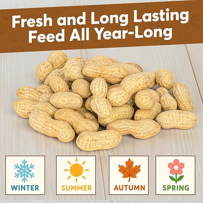50 LB - Raw Peanuts For Squirrels, Raw In Shell Peanuts For Birds and Wildlife- Squirrel Food, Wild Bird Seed - Grown in The USA