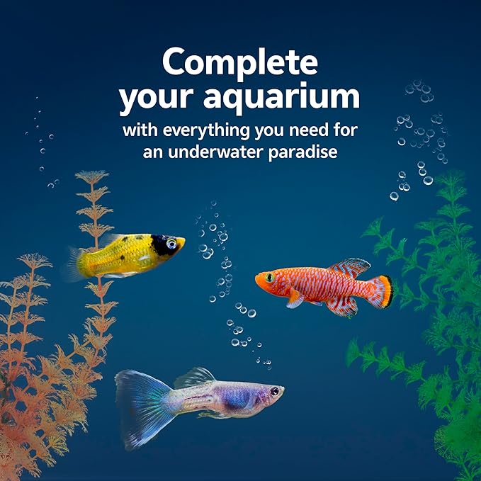 Aqueon Fish Tank Aquarium Essentials Starter Kit for 29 Gallon Tanks