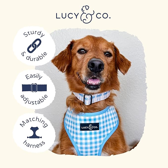 Lucy & Co. Dog Collar - Durable Lightweight Designer Collar for Pets - Adjustable Metal Safety Buckel - Medium - White with Blue Bows