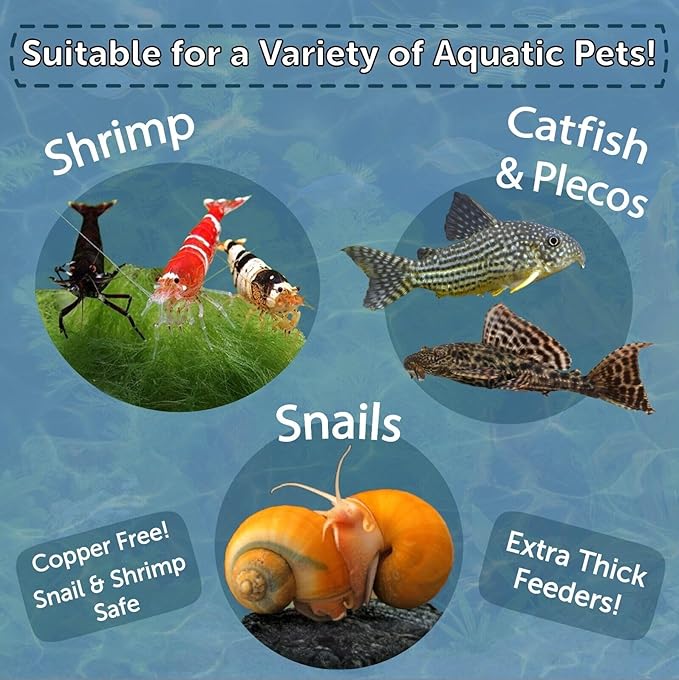 Aquatic Foods Inc. Spirulina Enriched Calcium Feeders for Shrimp, Snails, Crabs, Crayfish, Pleco, Catfish, All Tropical Fish…100 Count Bag