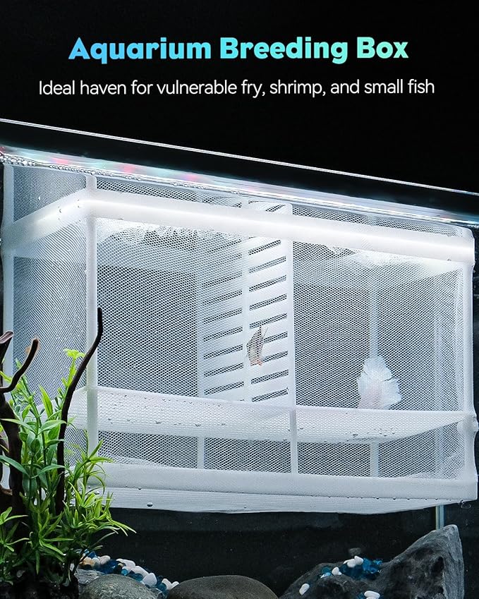 Pawfly Fish Tank Breeder Net Aquarium Fish Breeder Box with Nylon Mesh & Suction Cups, Fish Separation Net Large Isolation Box, Fish Fry Hatchery Incubator Hatching Box for Baby Fish Shrimp Betta