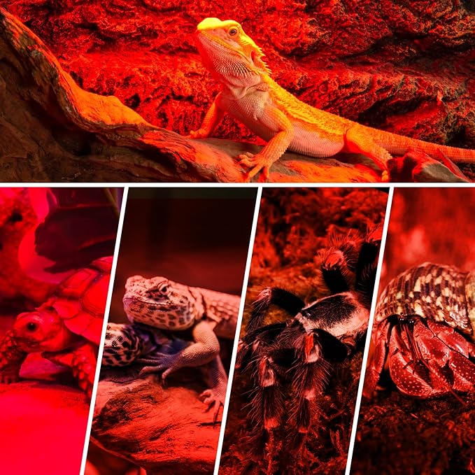 REPTI ZOO Reptile 50W Infrared Heat Lamp Bulb,2 Pack Infrared Basking Spot Light for Reptiles & Amphibian,Bearded Dragon,Leopard Gecko,Turtle,Lizard,Chickens | Pet Brooders Night Heat Lamp